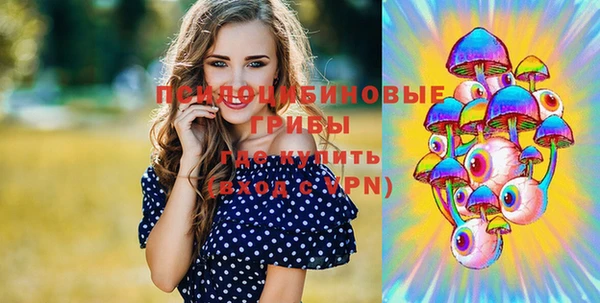 твердый Покровск