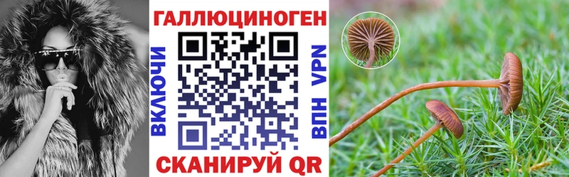 купить закладку  Лабытнанги  Галлюциногенные грибы MAGIC MUSHROOMS 