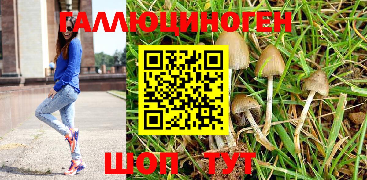Псилоцибиновые грибы Cubensis Лабытнанги