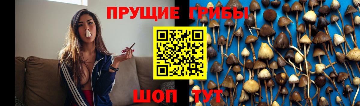 Псилоцибиновые грибы мухоморы  Лабытнанги 