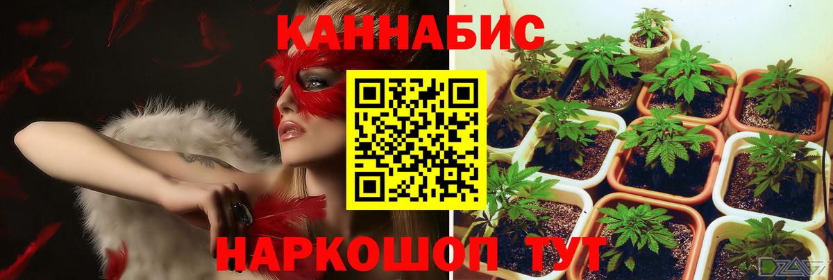Бошки марихуана THC 21%  МАРИХУАНА конопля  Лабытнанги  Шишки марихуана MAZAR 